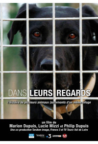 Dans leurs regards - L'Histoire de plusieurs animaux (sur)vivants d'un même refuge