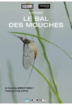 Bal des mouches (Le)